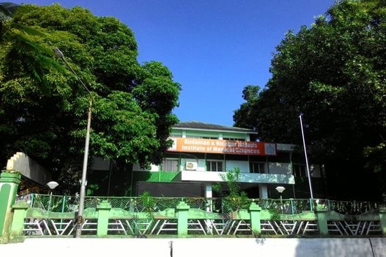 MBBS in Andaman and Nicobar Islands